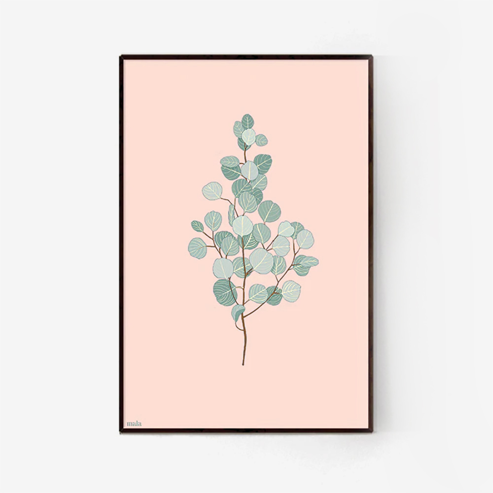 Eucalyptus Branch - הדפס ענף אקליפטוס