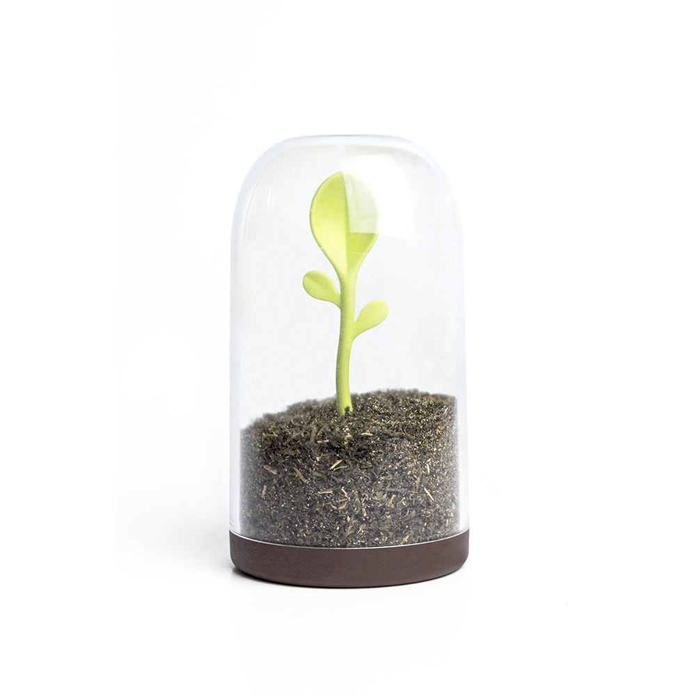 נבט מיכל אחסון עם כפית Sprout Jar