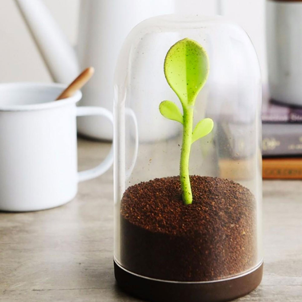 נבט מיכל אחסון עם כפית Sprout Jar