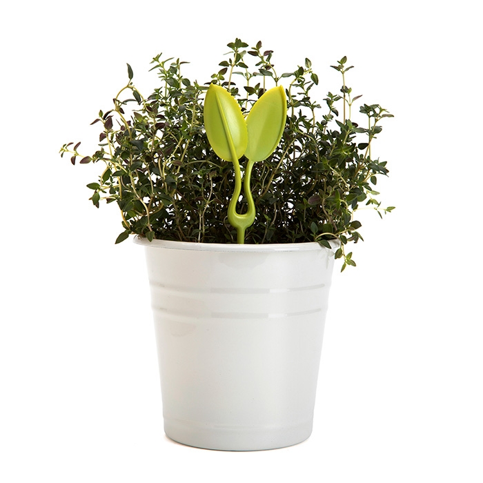 Leafers קוצץ צמחי תבלין