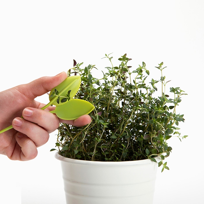 Leafers קוצץ צמחי תבלין