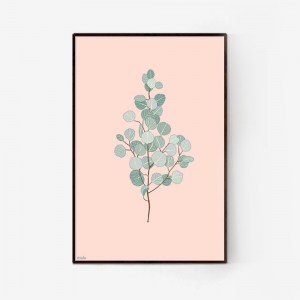 Eucalyptus Branch - הדפס ענף אקליפטוס