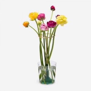 אגרטל מינימליסטי ליצירת סידור פרחים Invisivase