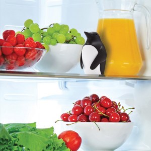 סופג ריחות למקרר Chill Bill