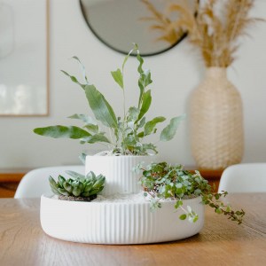 עציץ שולחני Fountain