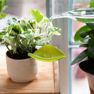 Leaflow משפך לעציצים ליפלואו